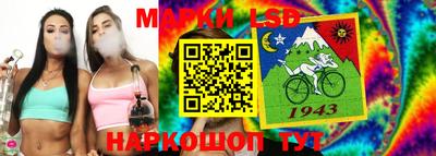индика Гусь-Хрустальный