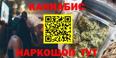индика Гусь-Хрустальный