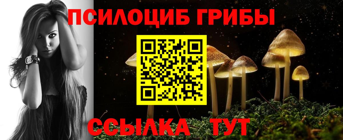 Галлюциногенные грибы Psilocybine cubensis  закладки  Ставрополь  Вход с VPN 